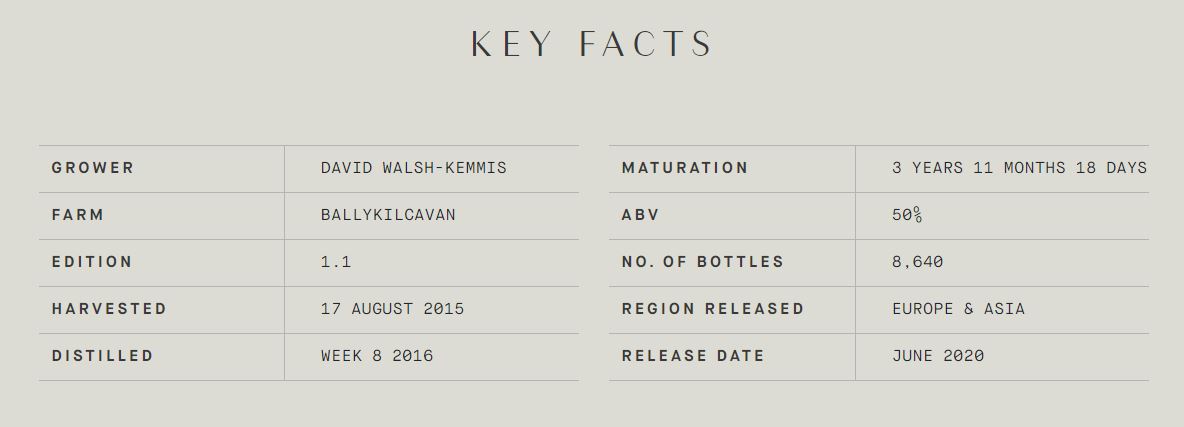 Ballykilcavan Keyfacts